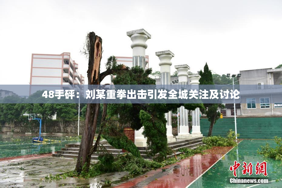 48手砰：刘某重拳出击引发全城关注及讨论