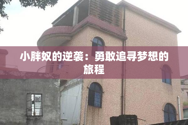 小胖奴的逆袭：勇敢追寻梦想的旅程