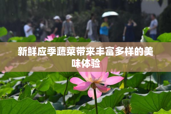 新鲜应季蔬菜带来丰富多样的美味体验