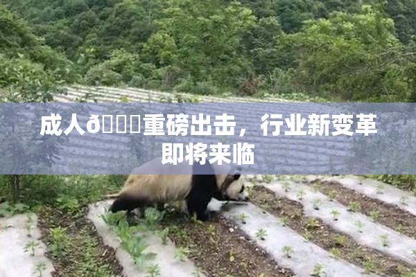 成人🔞重磅出击，行业新变革即将来临