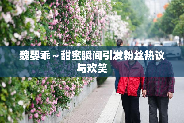 魏婴乖～甜蜜瞬间引发粉丝热议与欢笑
