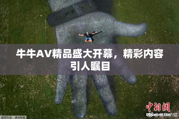 牛牛AV精品盛大开幕，精彩内容引人瞩目