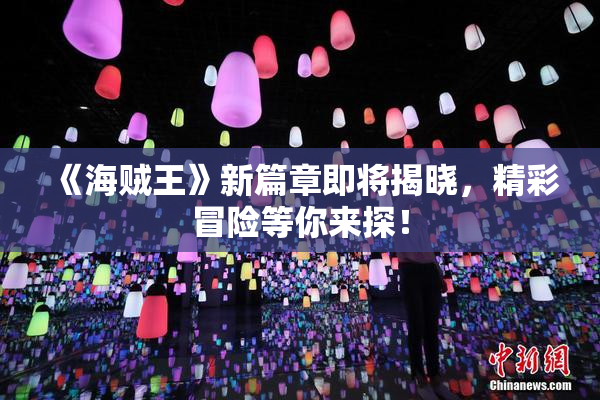 《海贼王》新篇章即将揭晓，精彩冒险等你来探！
