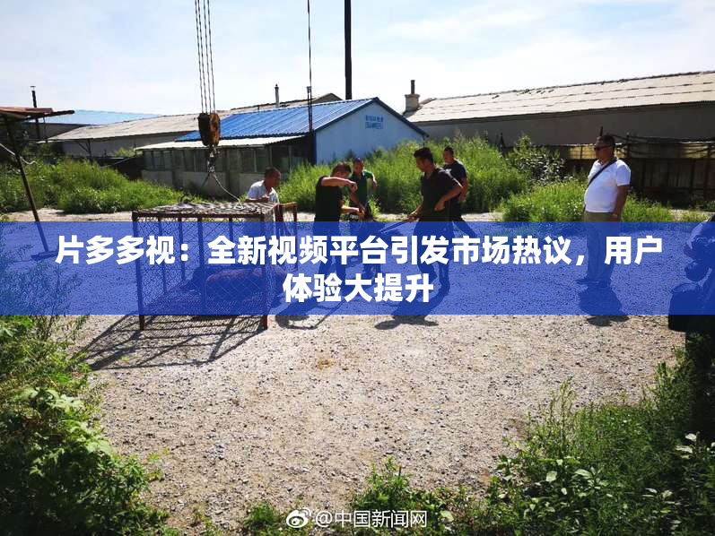 片多多视：全新视频平台引发市场热议，用户体验大提升