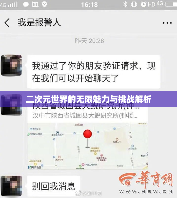 二次元世界的无限魅力与挑战解析