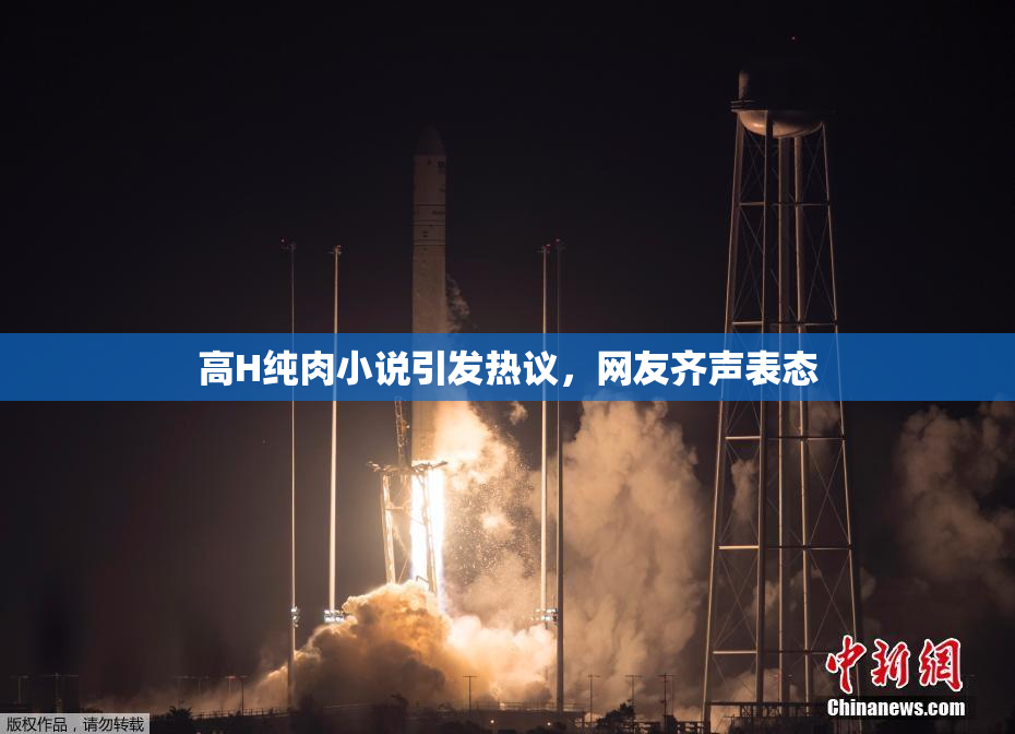 高H纯肉小说引发热议，网友齐声表态
