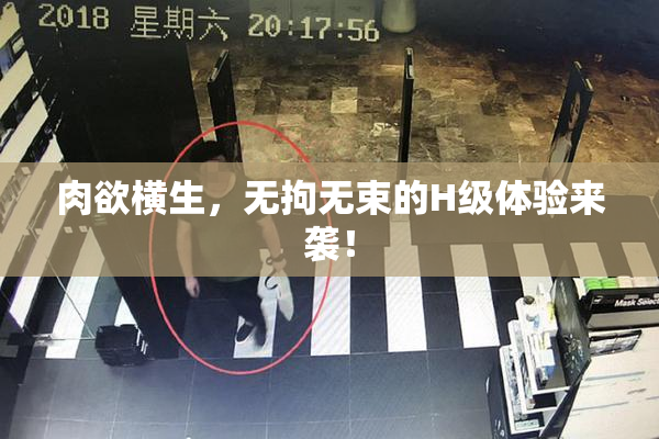 肉欲横生，无拘无束的H级体验来袭！