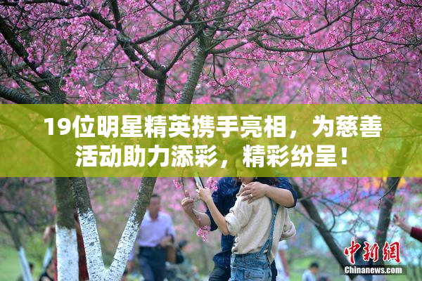 19位明星精英携手亮相，为慈善活动助力添彩，精彩纷呈！