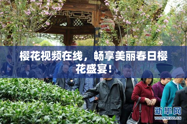 樱花视频在线，畅享美丽春日樱花盛宴！