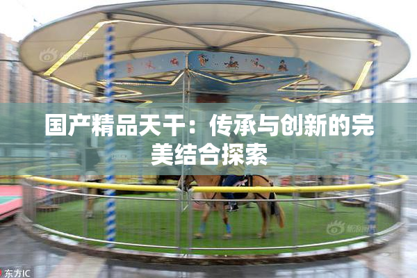 国产精品天干：传承与创新的完美结合探索