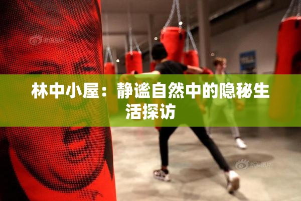 林中小屋：静谧自然中的隐秘生活探访