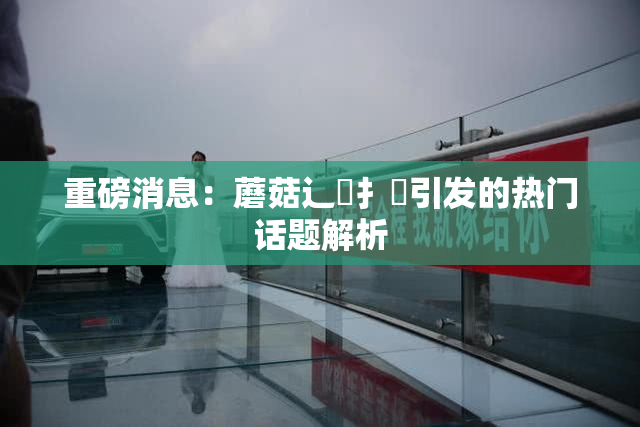 重磅消息：蘑菇辶喿扌畐引发的热门话题解析