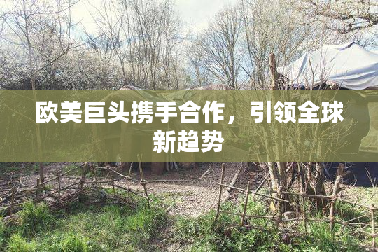 欧美巨头携手合作，引领全球新趋势