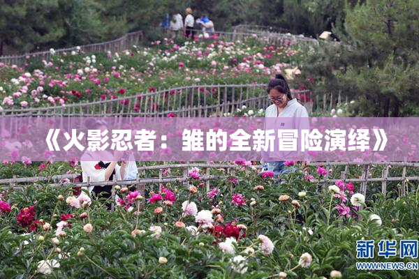 《火影忍者：雏的全新冒险演绎》