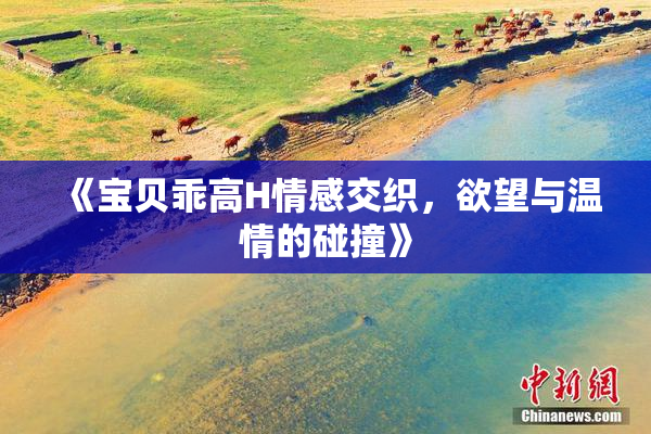 《宝贝乖高H情感交织，欲望与温情的碰撞》