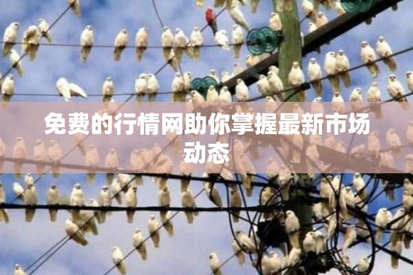 免费的行情网助你掌握最新市场动态