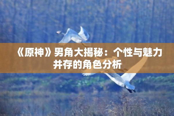 《原神》男角大揭秘：个性与魅力并存的角色分析