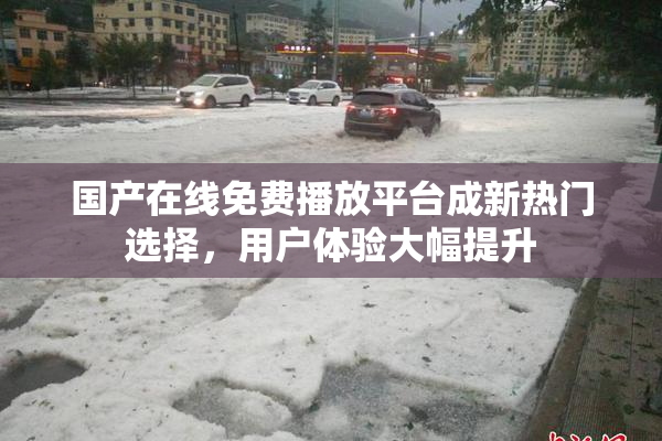 国产在线免费播放平台成新热门选择，用户体验大幅提升