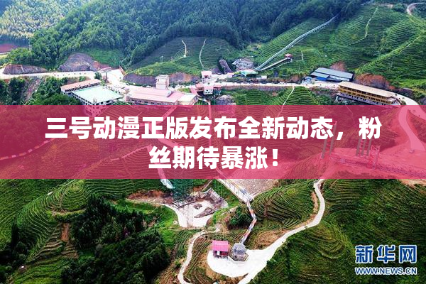 三号动漫正版发布全新动态，粉丝期待暴涨！