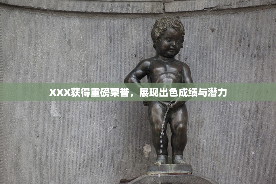 XXX获得重磅荣誉，展现出色成绩与潜力