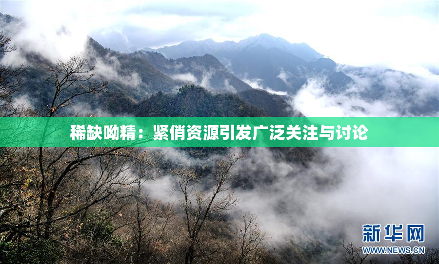 稀缺呦精：紧俏资源引发广泛关注与讨论