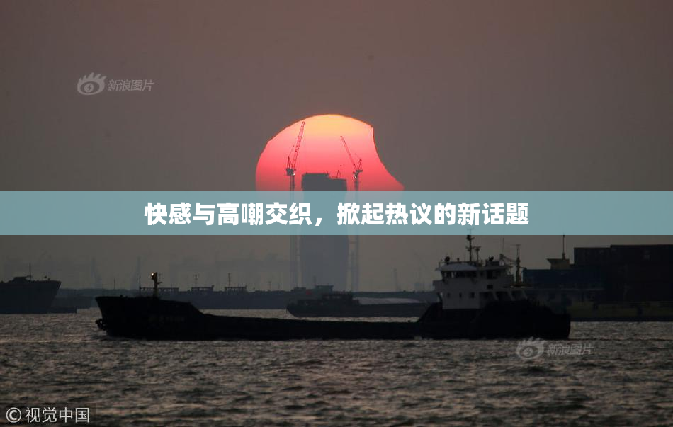 快感与高嘲交织，掀起热议的新话题
