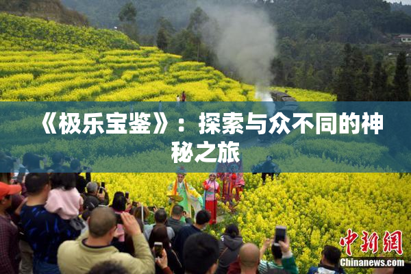 《极乐宝鉴》：探索与众不同的神秘之旅