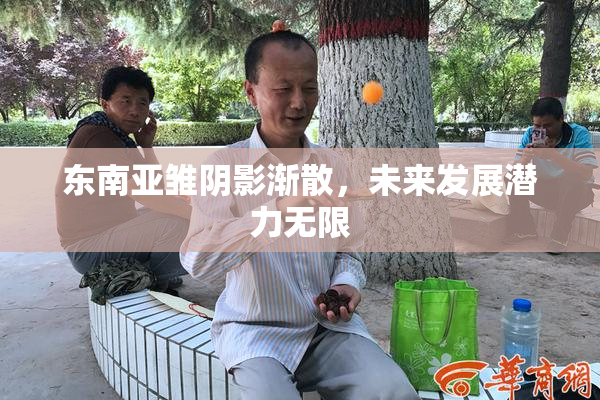 东南亚雏阴影渐散，未来发展潜力无限