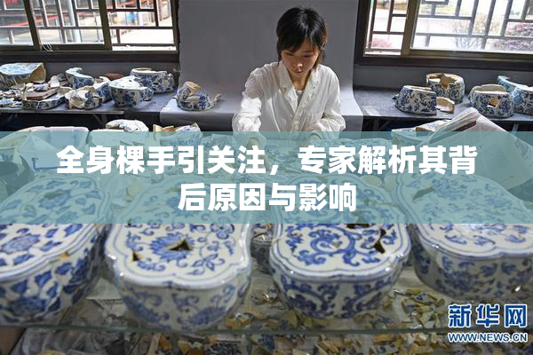 全身棵手引关注，专家解析其背后原因与影响