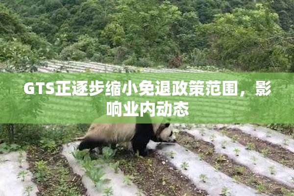 GTS正逐步缩小免退政策范围，影响业内动态