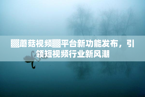 ▓蘑菇视频▓平台新功能发布，引领短视频行业新风潮