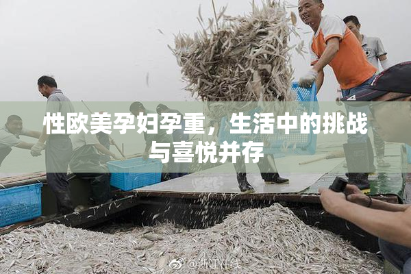 性欧美孕妇孕重，生活中的挑战与喜悦并存
