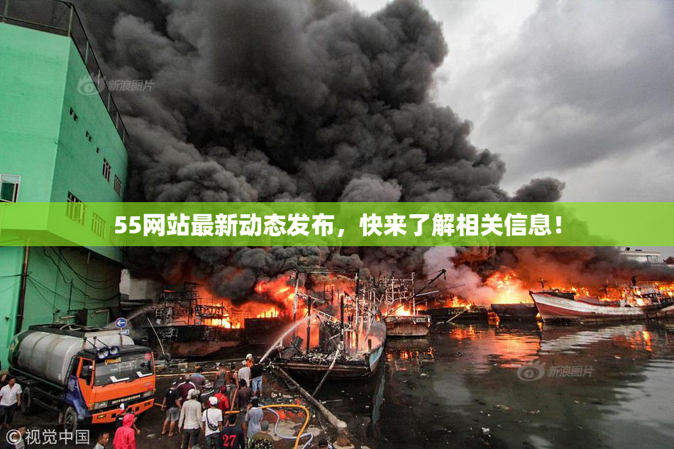 55网站最新动态发布，快来了解相关信息！