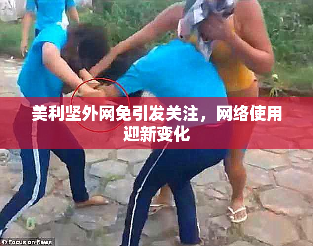 美利坚外网免引发关注，网络使用迎新变化