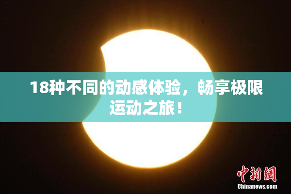 18种不同的动感体验，畅享极限运动之旅！