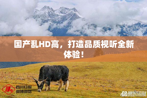 国产乱HD高，打造品质视听全新体验！
