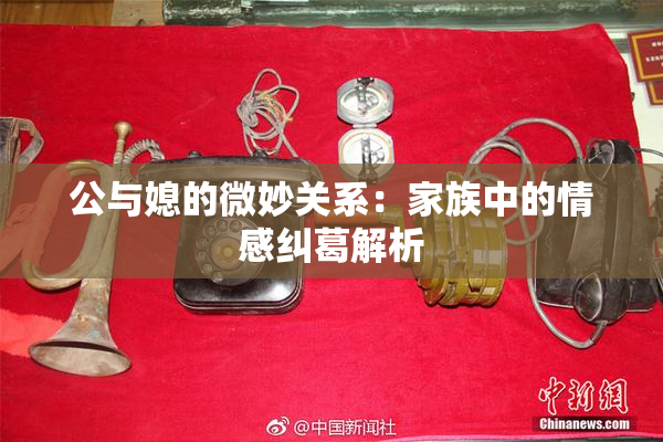 公与媳的微妙关系：家族中的情感纠葛解析