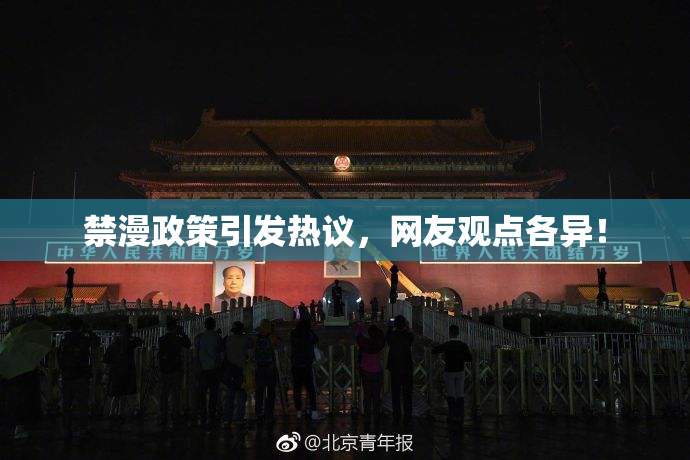 禁漫政策引发热议，网友观点各异！