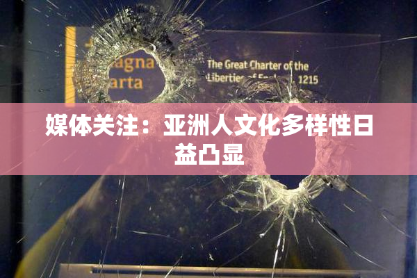 媒体关注：亚洲人文化多样性日益凸显