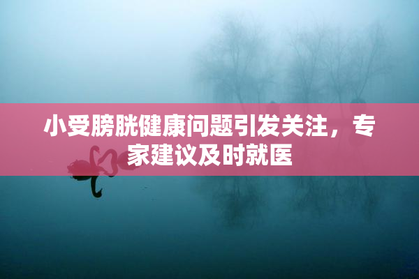 小受膀胱健康问题引发关注，专家建议及时就医