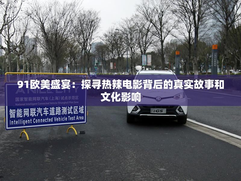 91欧美盛宴：探寻热辣电影背后的真实故事和文化影响