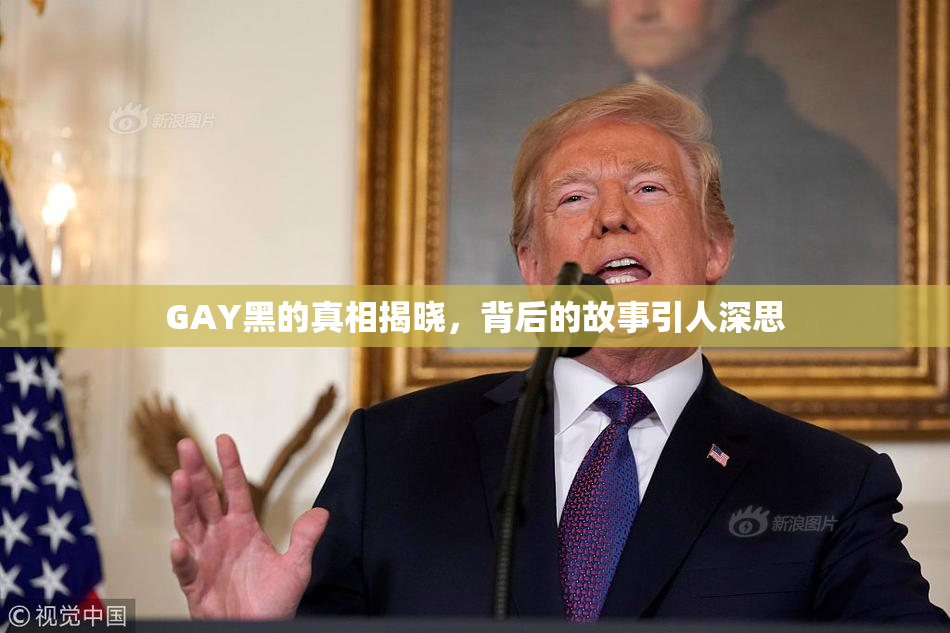 GAY黑的真相揭晓，背后的故事引人深思