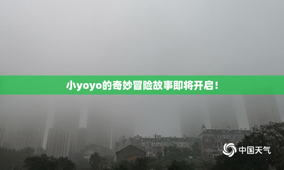 小yoyo的奇妙冒险故事即将开启！