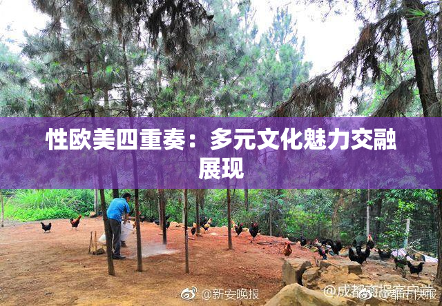 性欧美四重奏：多元文化魅力交融展现