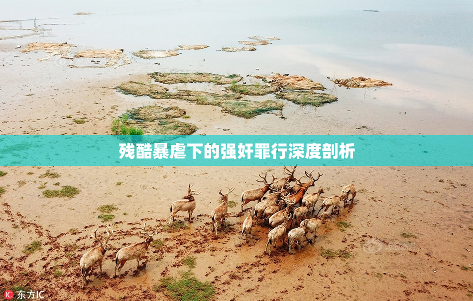 残酷暴虐下的强奸罪行深度剖析