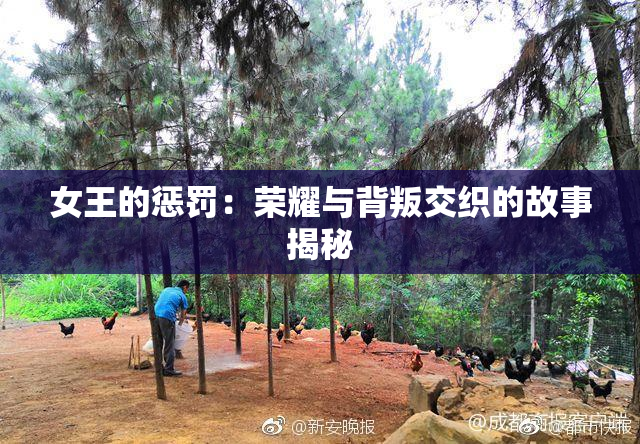 女王的惩罚：荣耀与背叛交织的故事揭秘