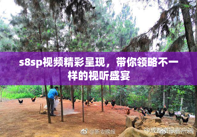 s8sp视频精彩呈现，带你领略不一样的视听盛宴