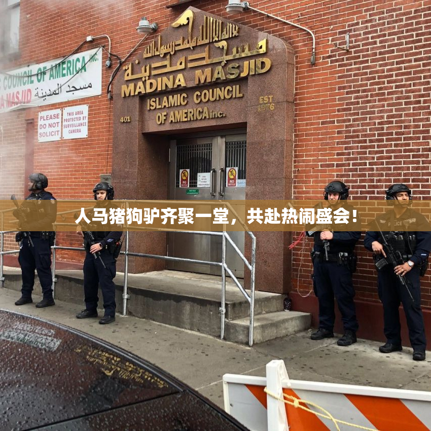 人马猪狗驴齐聚一堂，共赴热闹盛会！