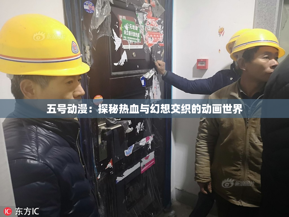 五号动漫：探秘热血与幻想交织的动画世界