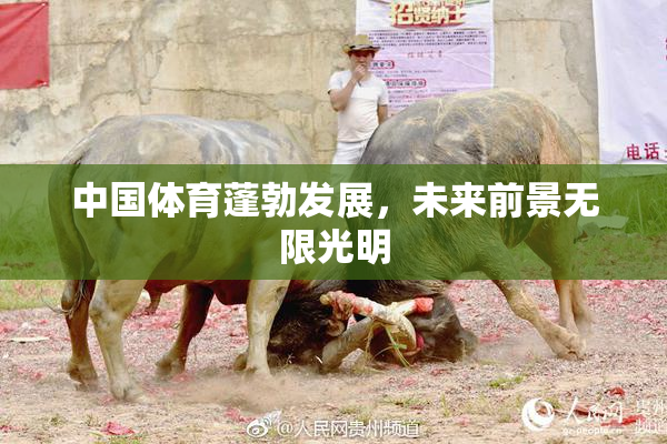 中国体育蓬勃发展，未来前景无限光明